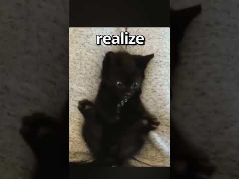 Have YOU EVER Seen a CAT do THIS 🤣 | Wholesome Moments