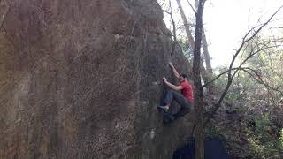 Video thumbnail of Esperó Willow, 7a+. Salvanebleau