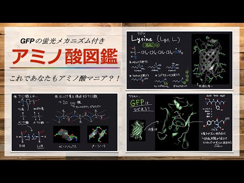 環境にとって危険