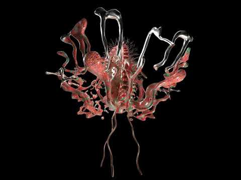 Alex Medina feat Elna_Golden Teacher (Innervisions/Transmoderna)