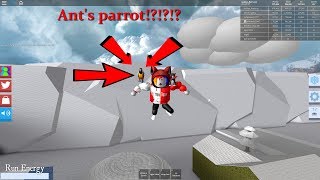Roblox Snow Shoveling Simulator Code For Parrot Pet - 