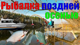 Ссылка