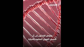 دراسة حديثة تكشف أن المأكولات المطبوخة والمقلية بشكل متكرر قد تسبب السرطان.. إليكم التفاصيل thumbnail