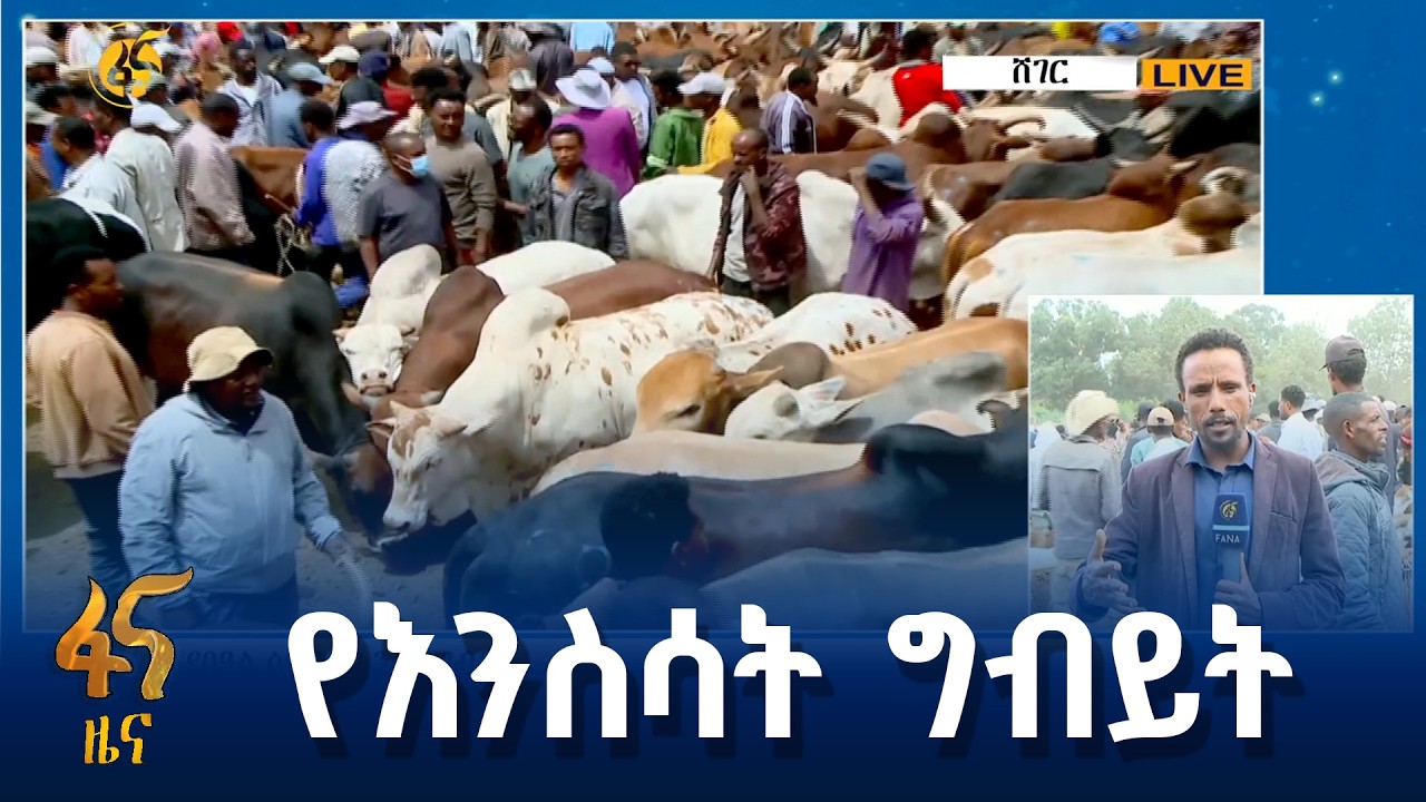 ለበዓል ገበያ በቂ አቅርቦት