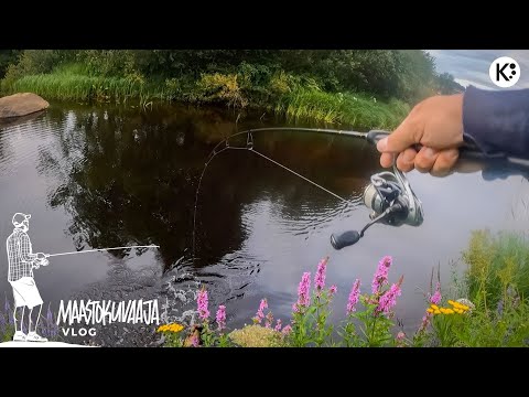 Hienoja PINTATÄRPPEJÄ poppereihin | Kalastetaan haukea puroista