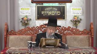 הרב בן ציון מוצפי • מוסאיוף שידור חי (הרב בן ציון מוצפי) - התמונה מוצגת ישירות מתוך אתר האינטרנט יוטיוב. זכויות היוצרים בתמונה שייכות ליוצרה. קישור קרדיט למקור התוכן נמצא בתוך דף הסרטון