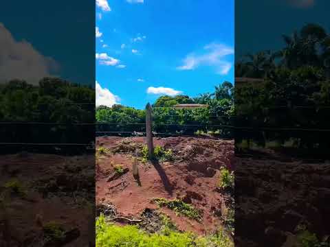 Conceição do Rio Verde, lugar tranquilo, ideal para o ecoturismo e descanso no sul de Minas Gerais!