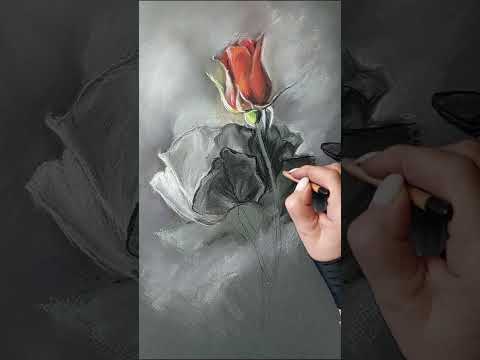 Proces   my pastels 
