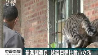 [問卦] 為什麼十二年前沒有特別報導越南貓年？