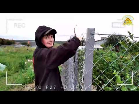 Установка нового забора. Наконец то свершилось!