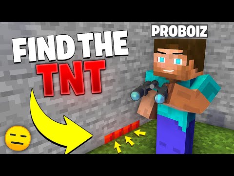 Insane TNT Surprise in Minecraft - ProBoiz 95