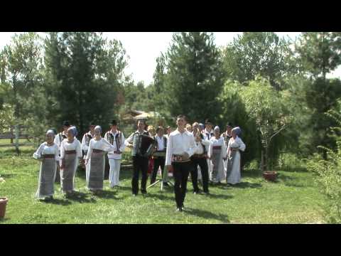 Adi Dis - Feciorul tati