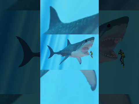 interesting photos you have never seen! | part 28 #shorts