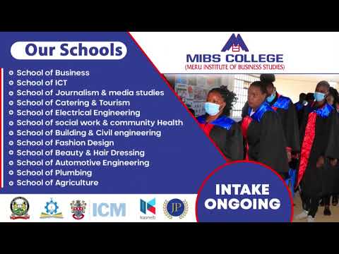Meru Institute Of Business Studies