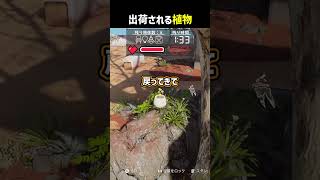 出荷される植物 #shorts #prophunt