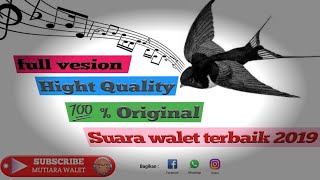 Download lagu Full version Best swallow sound 2019 - 100% Original Hight Quality mp3 Download lagu Full version Best swallow sound 2019 - 100% Original Hight Quality mp3