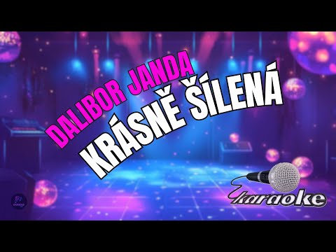 ???? Dalibor Janda – Krásně šílená | Karaoke s textem ????