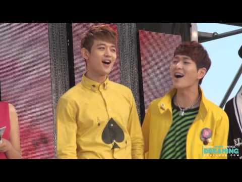 130510 오송 뮤직뱅크 love blossom에 맞춰서 흔들흔들 춤추는 민호 with 온유형