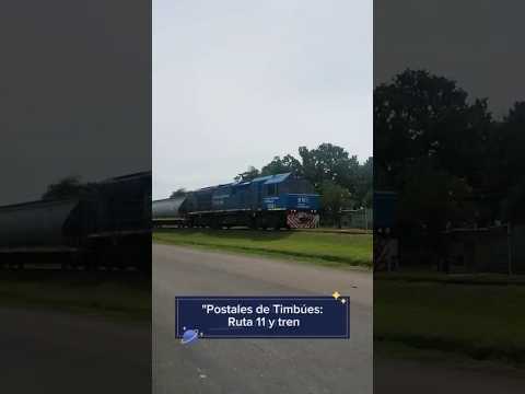 Timbúes: Tren por Colectora y Ruta 11 (Sonido Real y Bocinazo) 🚂🇦🇷