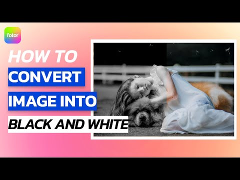 Convert Image to Black and White Online for Free | Fotor