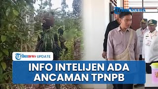 Keselamatan Prioritas, Wapres Gibran Batal Kunjungan ke Yahukimo, Info Intelijen Ada Ancaman TPNPB
