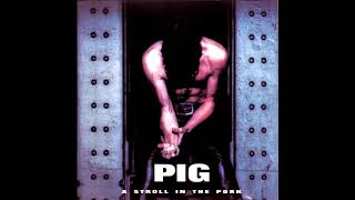 PIG - Hello Hooray (Regular)