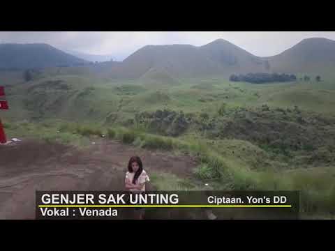 Genjer Sak Unting  Venada Malika