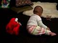 Baby Loves Elmo