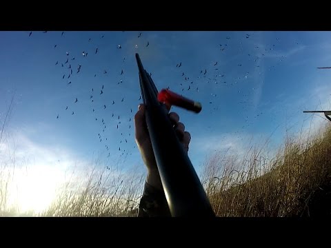 Dude Snipes Duck Out Of The Sky & It Falls Directly Into His Hand
