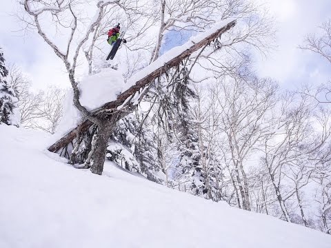 Freeride Skiing in Japan　15-16season
