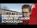Zo ziet de nieuwe groene schoolplein van OBS Het Stadsveld eruit