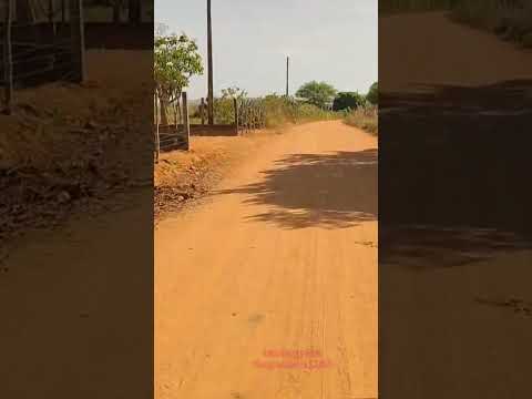 área rural de Estrela de Alagoas. AL