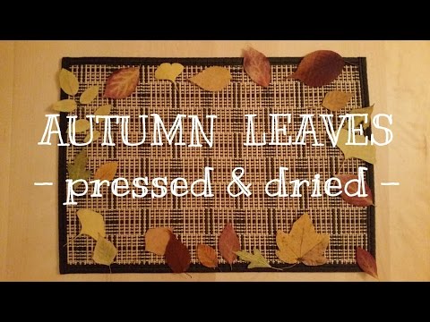 image-How do you make dried autumn leaves?