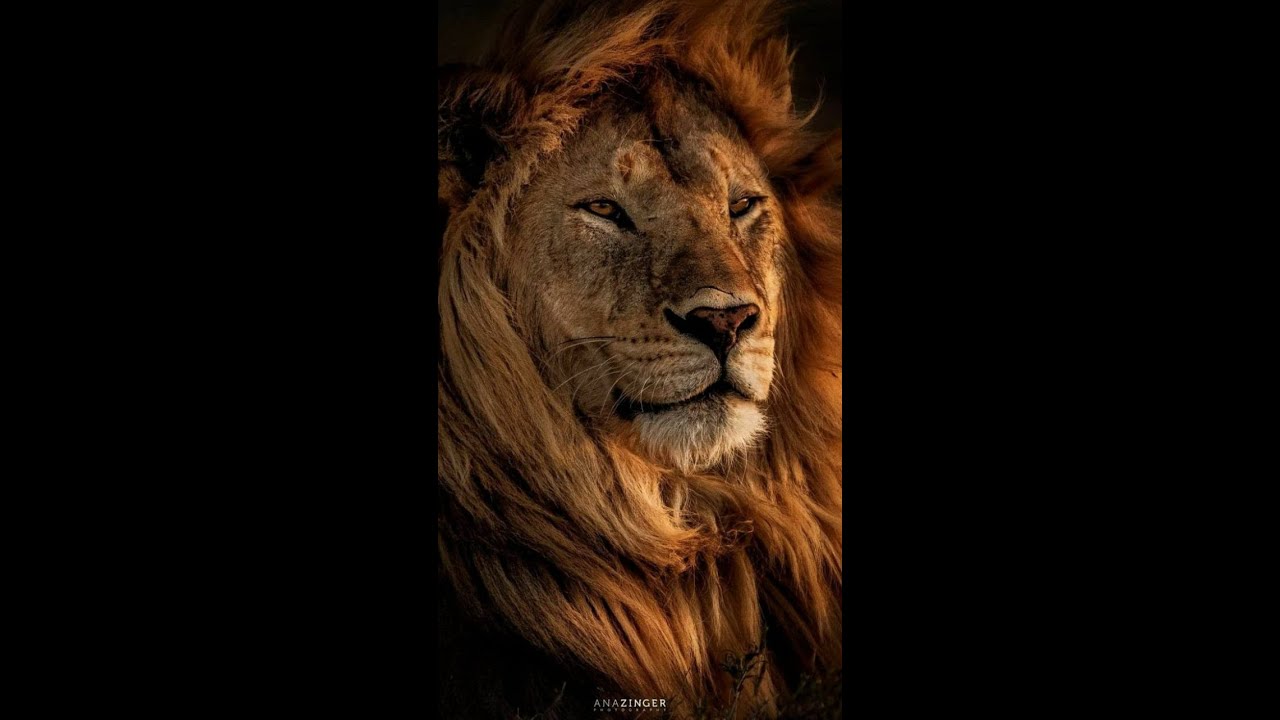 MINCHÁ (ORAÇÃO DA TARDE) Adoração, Súplica, Confissão, Perdão.