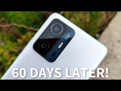 Xiaomi 11T 60 Days Later - Love and Hate!