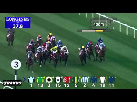 07.03.2015 Meydan (Dubai/UAE) 4.Race Meydan Sprint - Group III 1.000 m