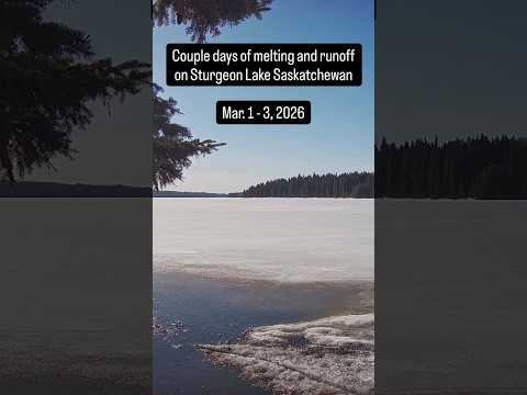 Ice melting and runoff at Sturgeon Lake Saskatchewan - May. 1 - 3, 2026