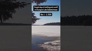 Ice melting and runoff at Sturgeon Lake Saskatchewan - May. 1 - 3, 2026