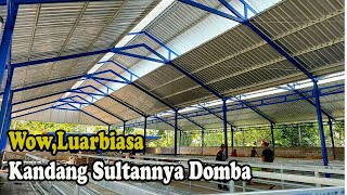 Download lagu Kandang Domba Dorper Terbesar dan termegah se-Indonesia hampir selesai dibangun mp3