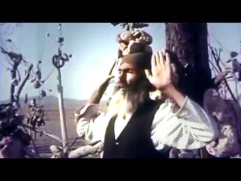 We Plants Are Happy Plants - Wind Of Intuition