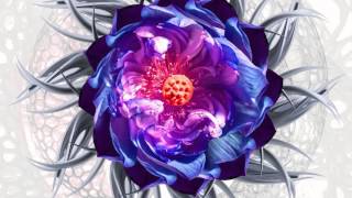 Video thumbnail for Evolving Textures - Soundscapes and Atmospheres for music production by Black Octopus Sound