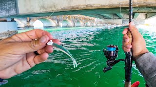 THREE Hour Plus UNCUT Florida Keys Little Bridge Fishing w/Gulp! Minnows