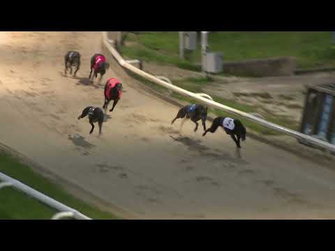 2021 REGENCY FINAL - T6 AAYAMZA ROYALE