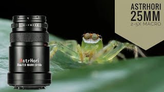 AstrHori 25mm 2–5x Macro Lens Review: Ultra Close-Up on a Budget