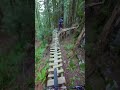 Freeride Was Born Here
