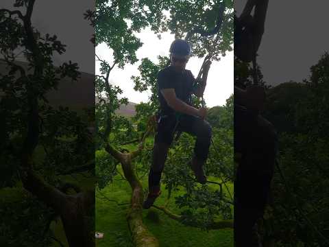 Arborist parkour. New climbing trousers out now. #arbortec #arborist #treeclimbing @mickarblife