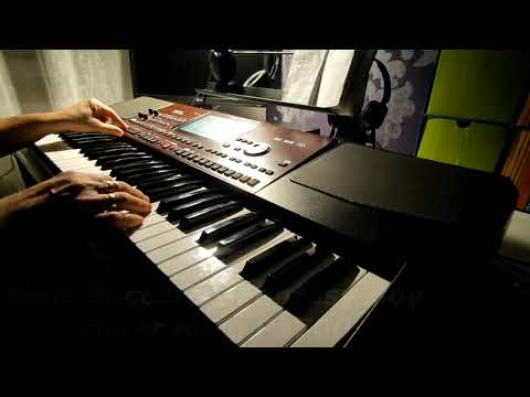 New Baccara - Fantasy Boy cover Korg Pa700