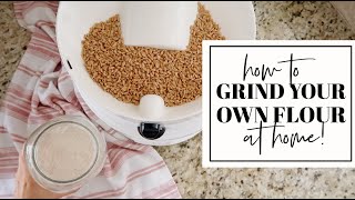 GRINDING YOUR OWN FLOUR AT HOME | Health Benefits, Cost Breakdown, + Tutorial | Becca Bristow