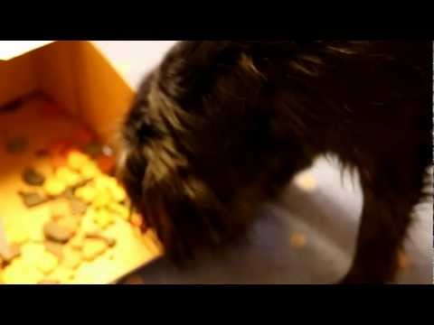 Eventplanung Mannheim Eventagentur Germans-Live-Events präsentiert heute: