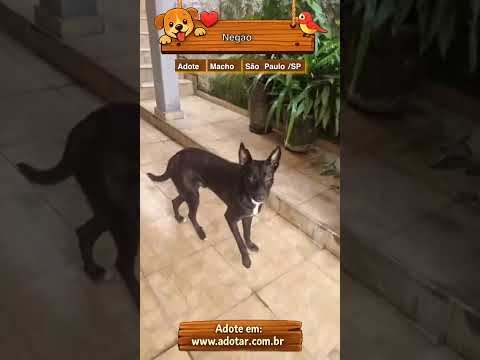 Vídeo de Negão 